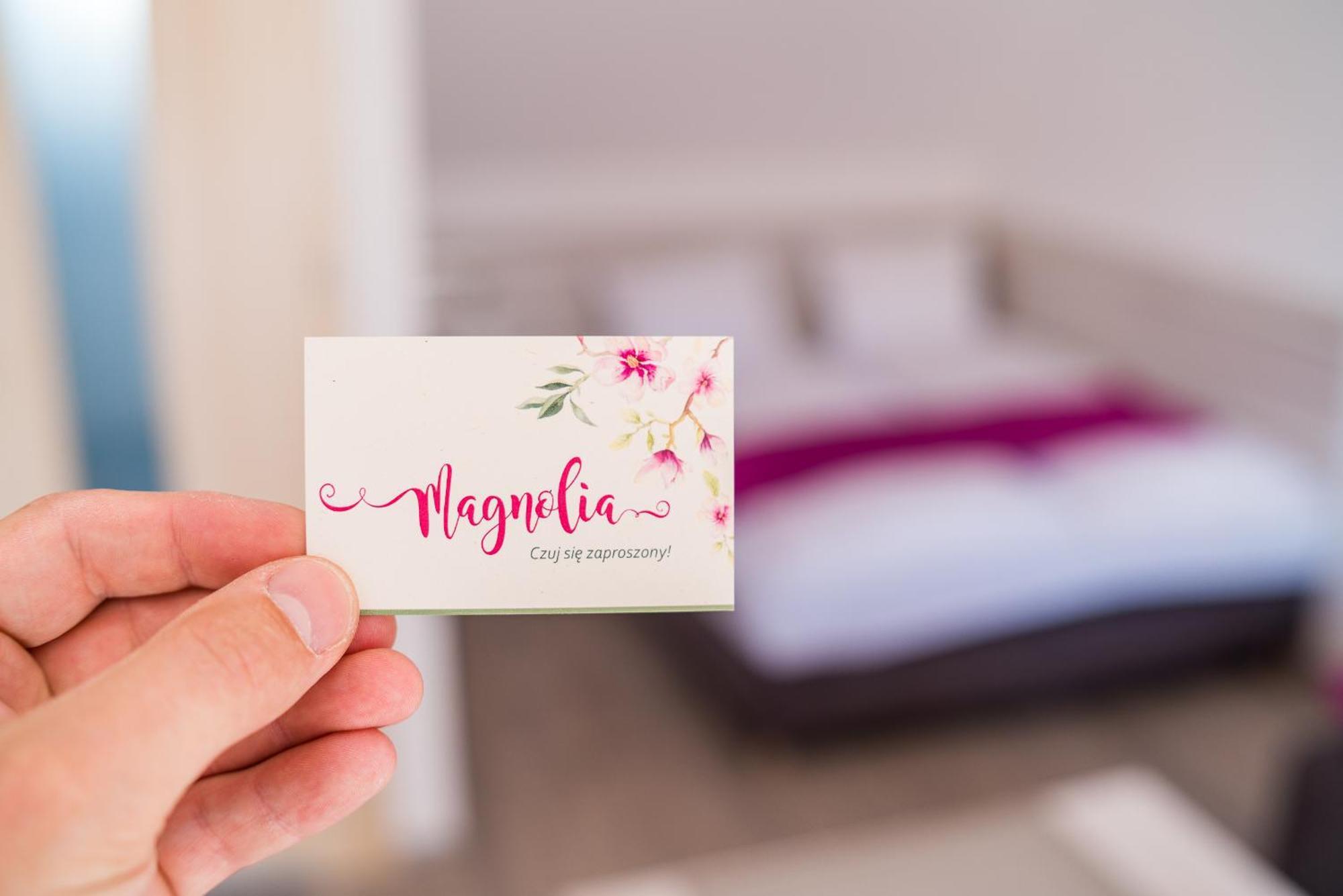 Magnolia Pokoje I Apartamenty دمبكي المظهر الخارجي الصورة